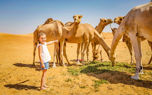 Child with camels in desert during 1 Hr Red Dunes Quad Bike tour.