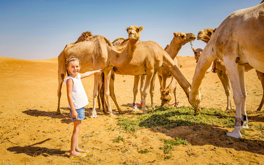 Child pointing at camels in the desert during an overnight Bedouin safari.
