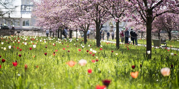 best time to visit amsterdam