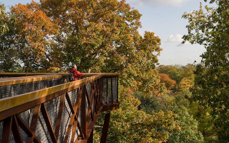 Kew Gardens Tickets | Art Gallery Access