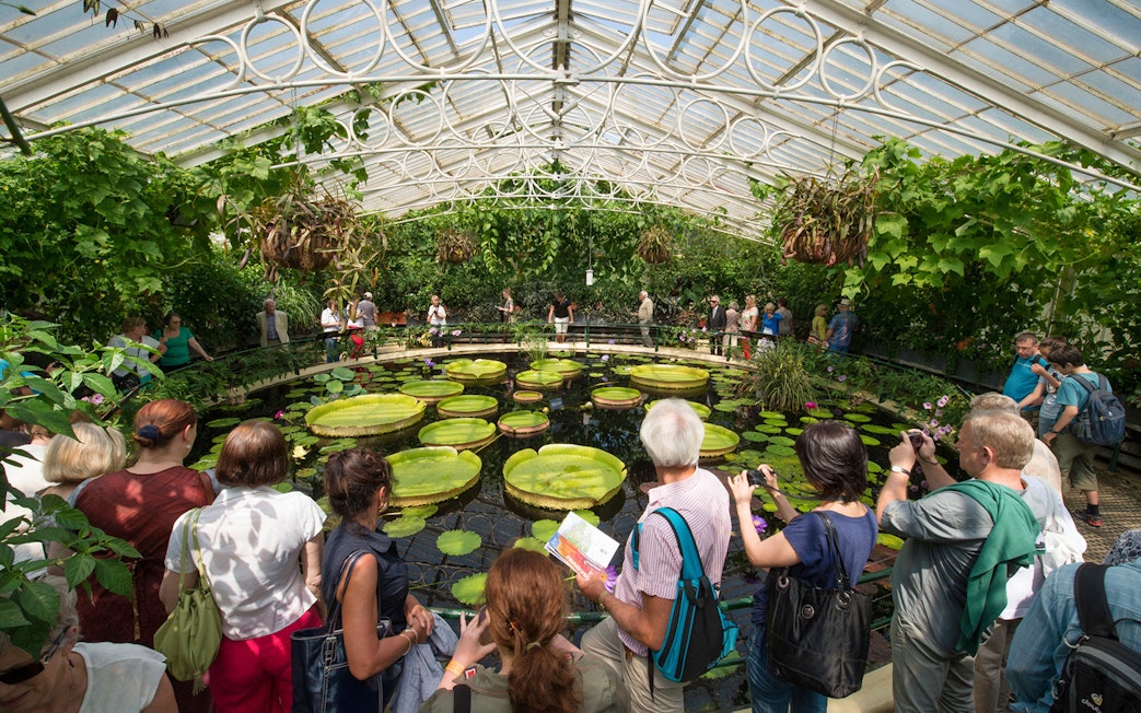 Visitors exploring the Waterlily House at Kew Gardens, London.