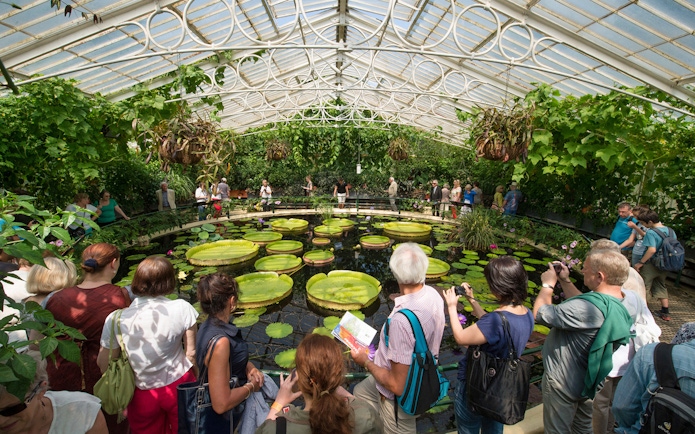 Visitors exploring the Waterlily House at Kew Gardens, London.