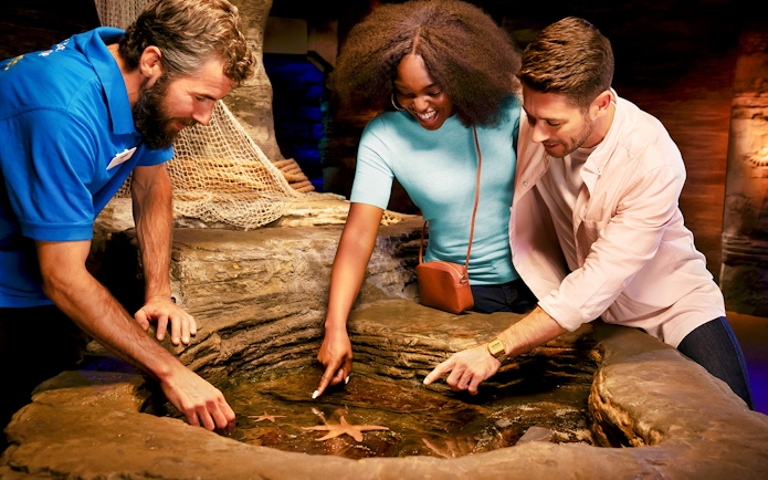 Sea life guide explaining starfish to visitors at an aquarium touch pool.