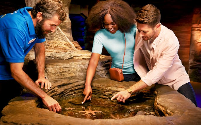 Sea life guide explaining starfish to visitors at an aquarium touch pool.