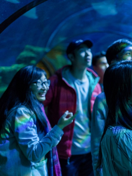 Visitors exploring underwater tunnel at SEA Life London.