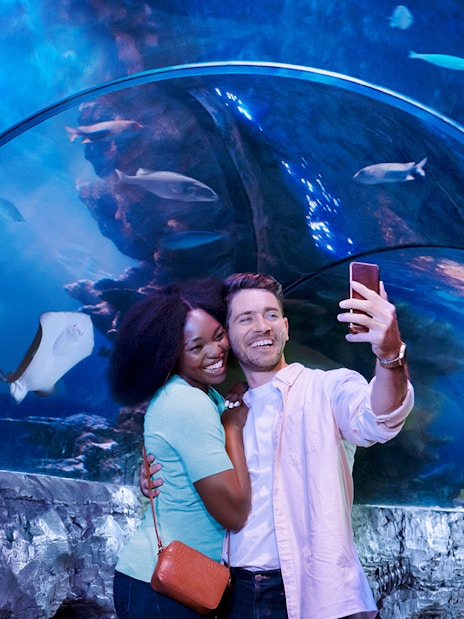 Tourists taking selfie in underwater tunnel at Sealife aquarium.