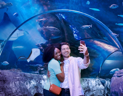 Tourists taking selfie in underwater tunnel at Sealife aquarium.
