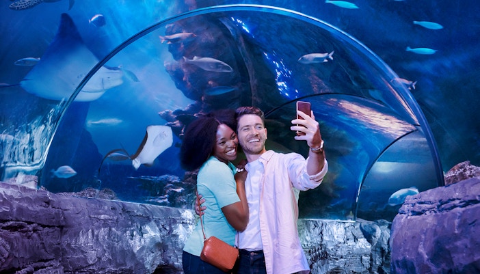 Tourists taking selfie in underwater tunnel at Sealife aquarium.