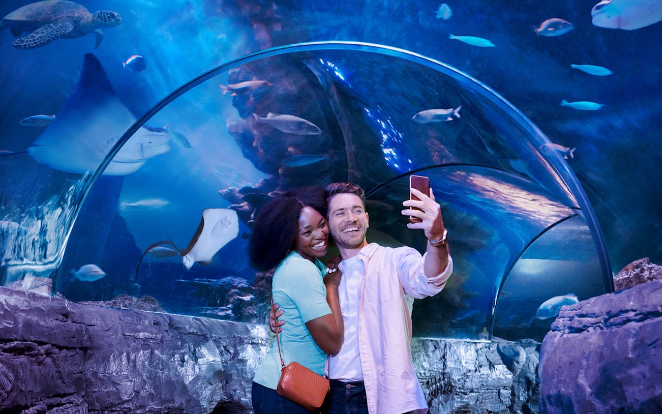 Tourists taking selfie in underwater tunnel at Sealife aquarium.