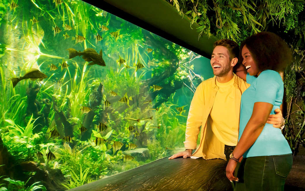 Couple enjoying SEA LIFE Aquarium in London with vibrant fish display.
