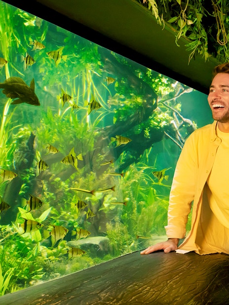 Couple enjoying SEA LIFE Aquarium in London with vibrant fish display.