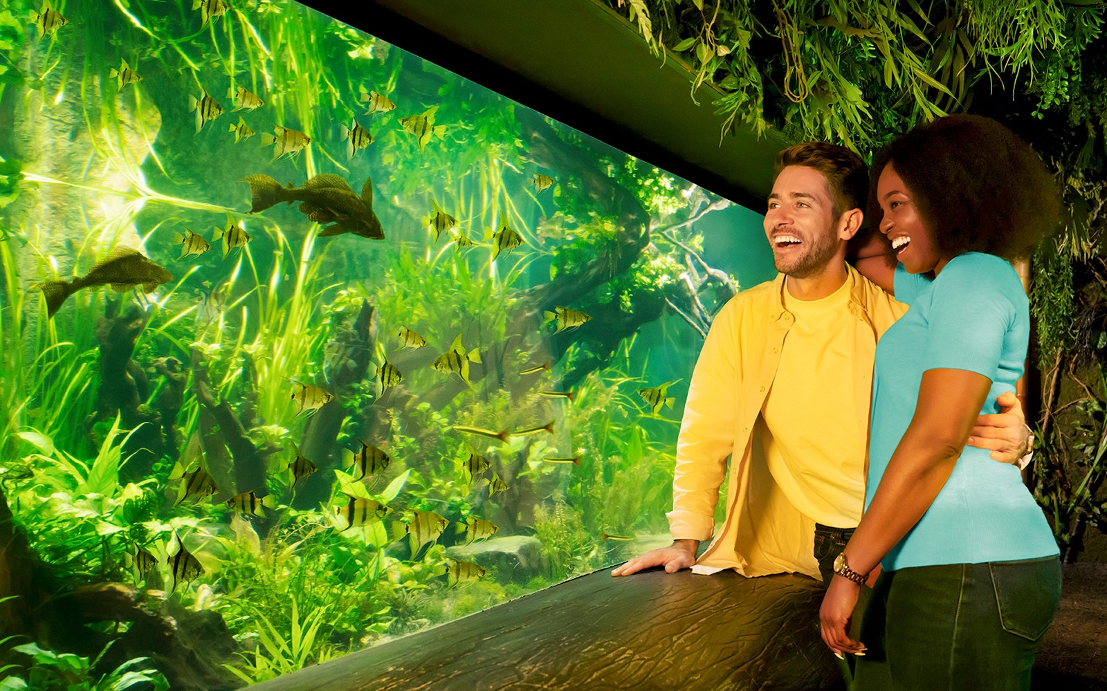 Couple enjoying SEA LIFE Aquarium in London with vibrant fish display.