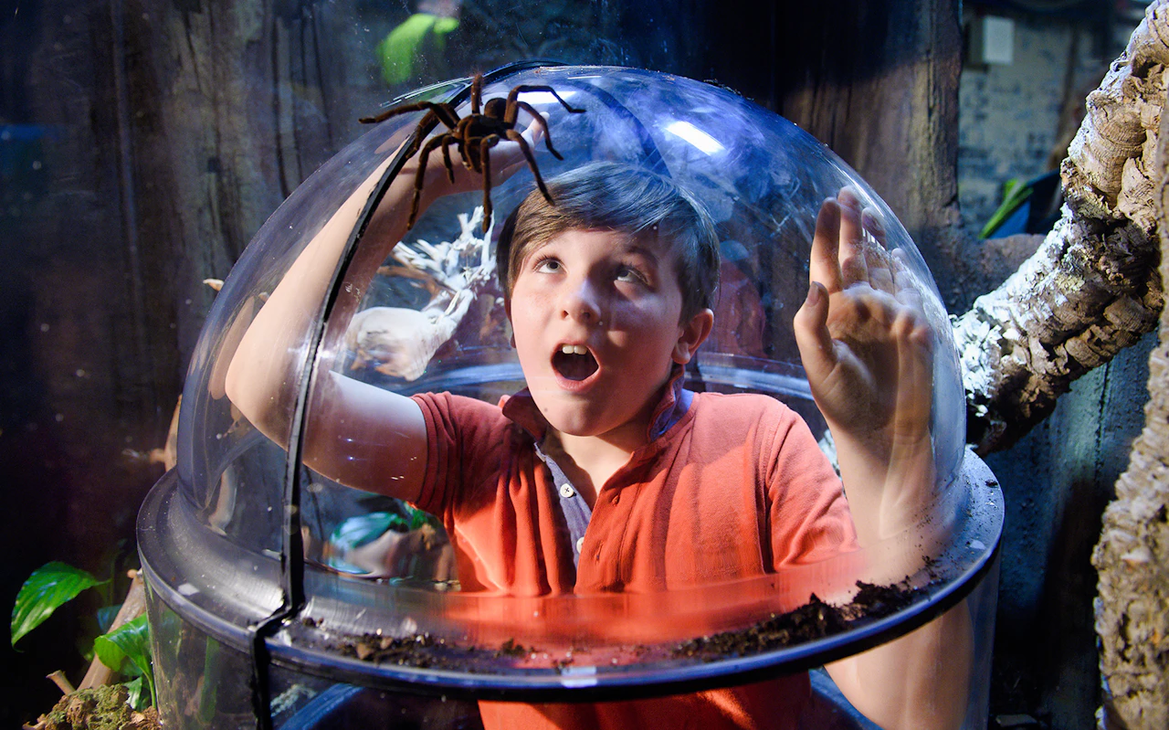 Combo: Tour in autobus Hop-on Hop-off di Londra con crociera sul Tamigi + Biglietti per il SEA LIFE Aquarium — 5