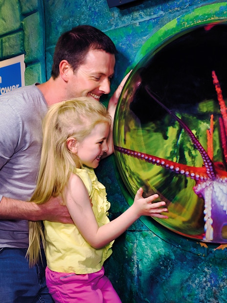Family observing octopus at Sea Life London Aquarium exhibit.