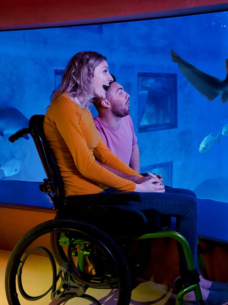 Visitor in wheelchair observing shark at Sea Life Aquarium.