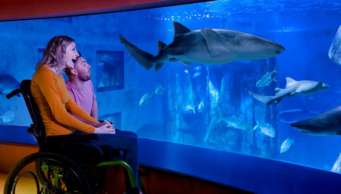 Explore SEA Life London Aquarium