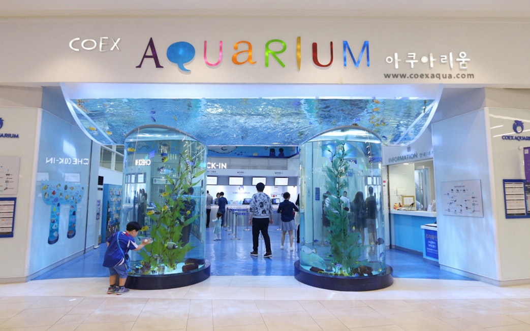 Entrance of Coex Aquarium with visitors and large fish tanks, Seoul, South Korea.