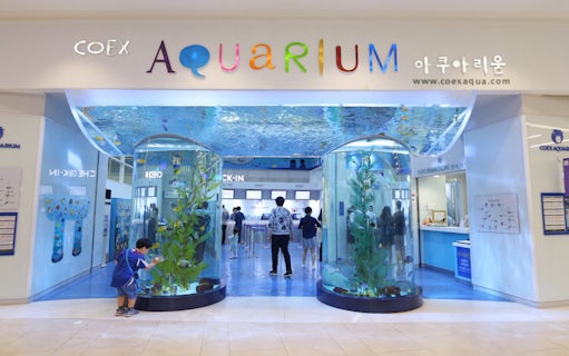 Entrance of Coex Aquarium with visitors and large fish tanks, Seoul, South Korea.