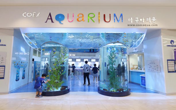 Entrance of Coex Aquarium with visitors and large fish tanks, Seoul, South Korea.