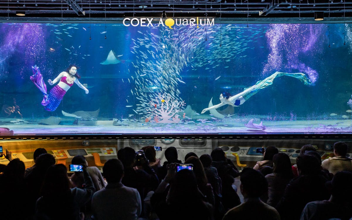 coex aquarium admission ticket-3 coex aquarium admission ticket-3