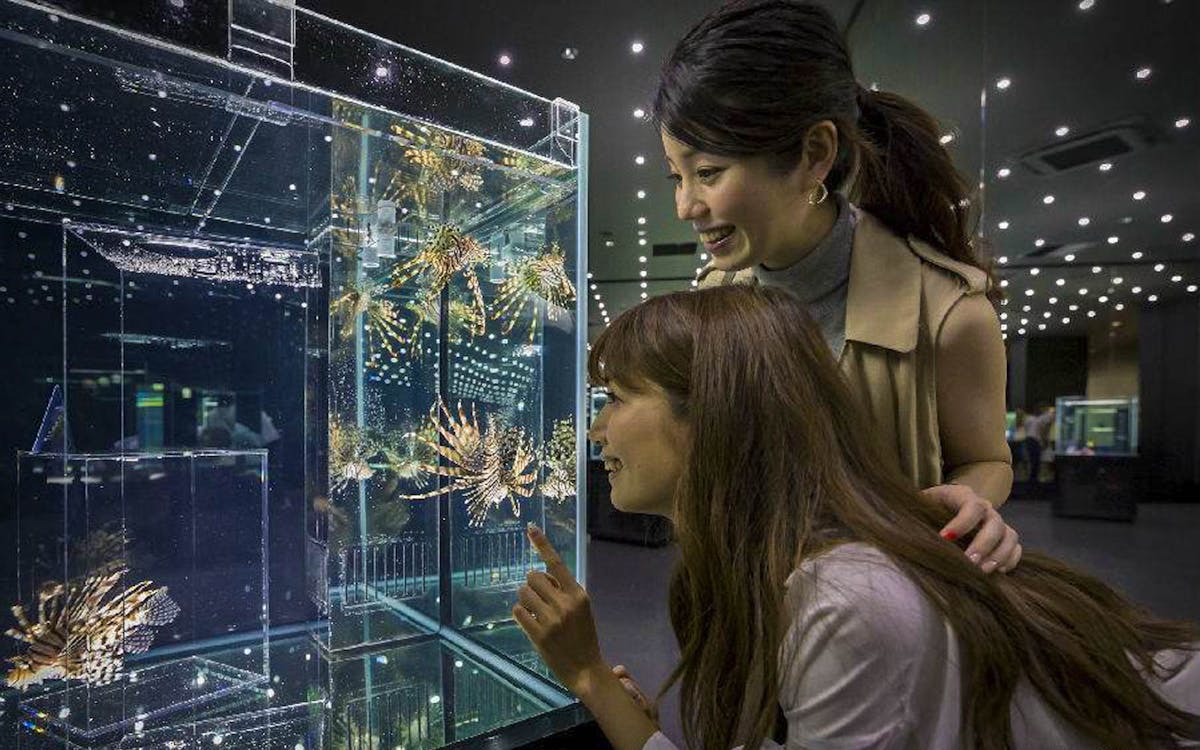nifrel interactive aquazoo e-ticket in osaka-3 nifrel interactive aquazoo e-ticket in osaka-3