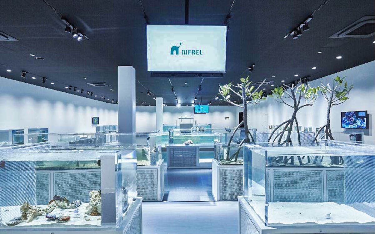 nifrel interactive aquazoo e-ticket in osaka-2 nifrel interactive aquazoo e-ticket in osaka-2