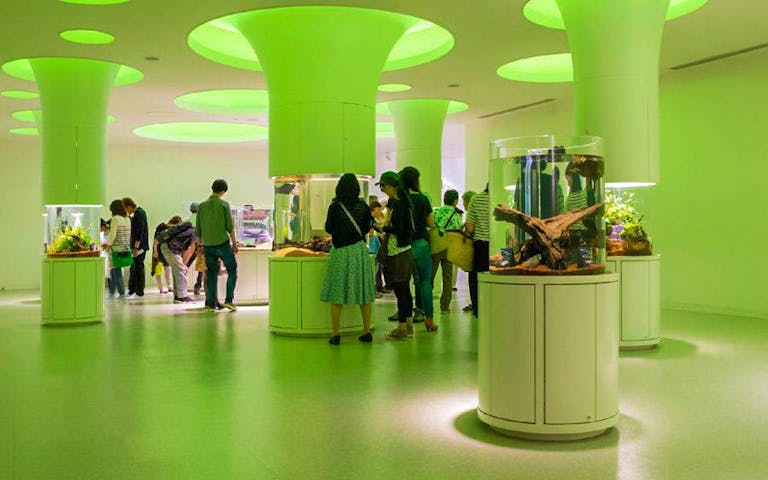 NIFREL Interactive Aquazoo E-Ticket in Osaka