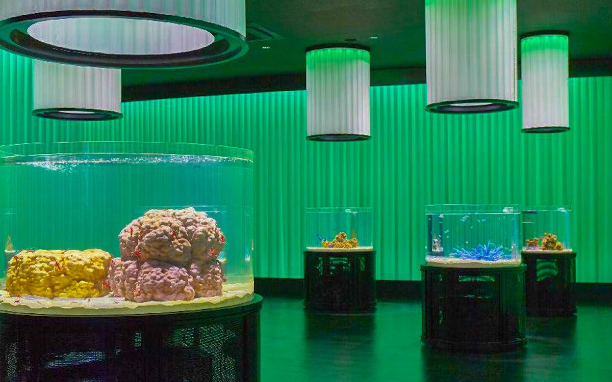 nifrel interactive aquazoo e-ticket in osaka-6 nifrel interactive aquazoo e-ticket in osaka-6