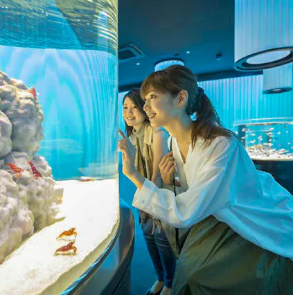 A day out at NIFREL Osaka | Know before you go