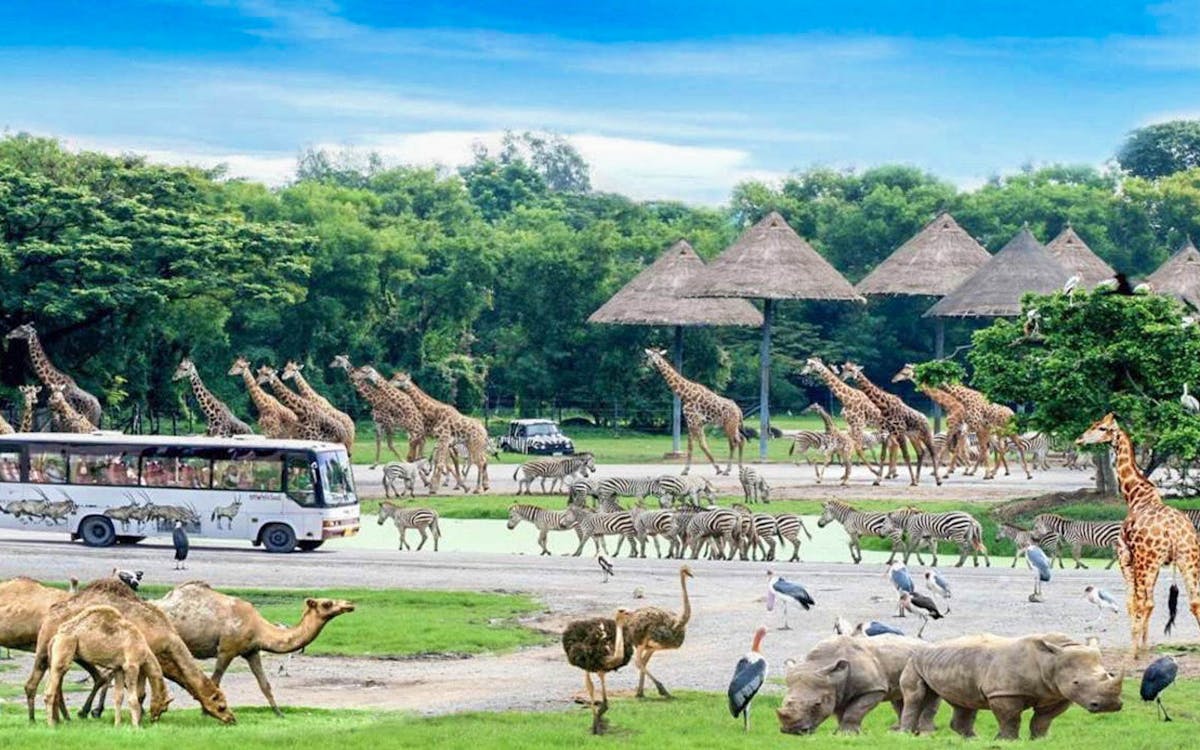 safari world bangkok with buffet lunch + shared / private transfers-3 safari world bangkok with buffet lunch + shared / private transfers-3