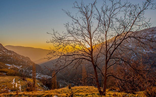 Sunset view over Alpujarras mountains with bare tree in foreground, Granada day trip.