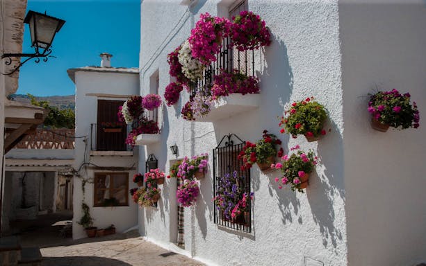 Whitewashed house with colorful flower pots in Alpujarras village, Granada day trip.