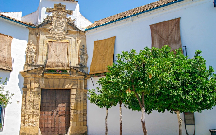 Historic building facade with ornate stonework and trees in Cordoba, Spain.