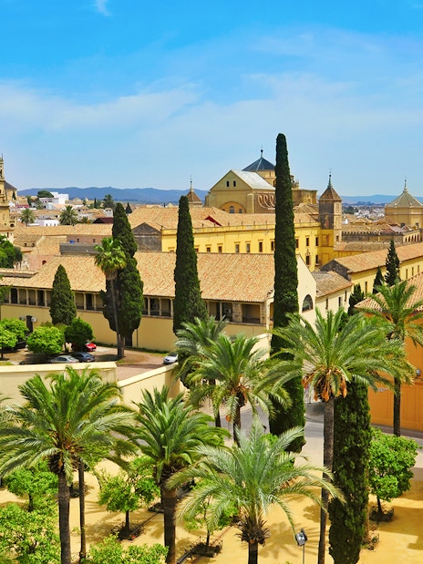 Cordoba Mosque-Cathedral and Alcázar with palm trees and historic architecture.