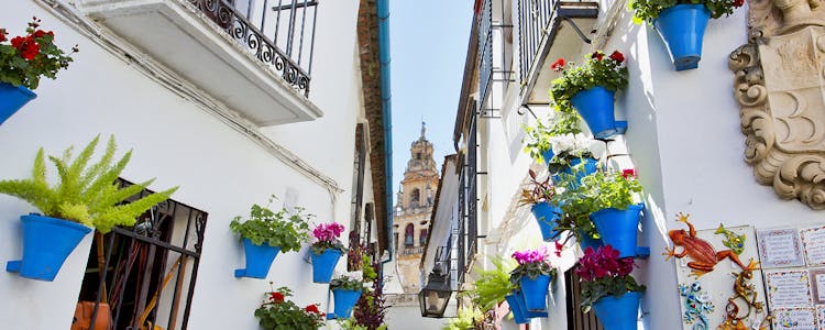 Granada to Cordoba