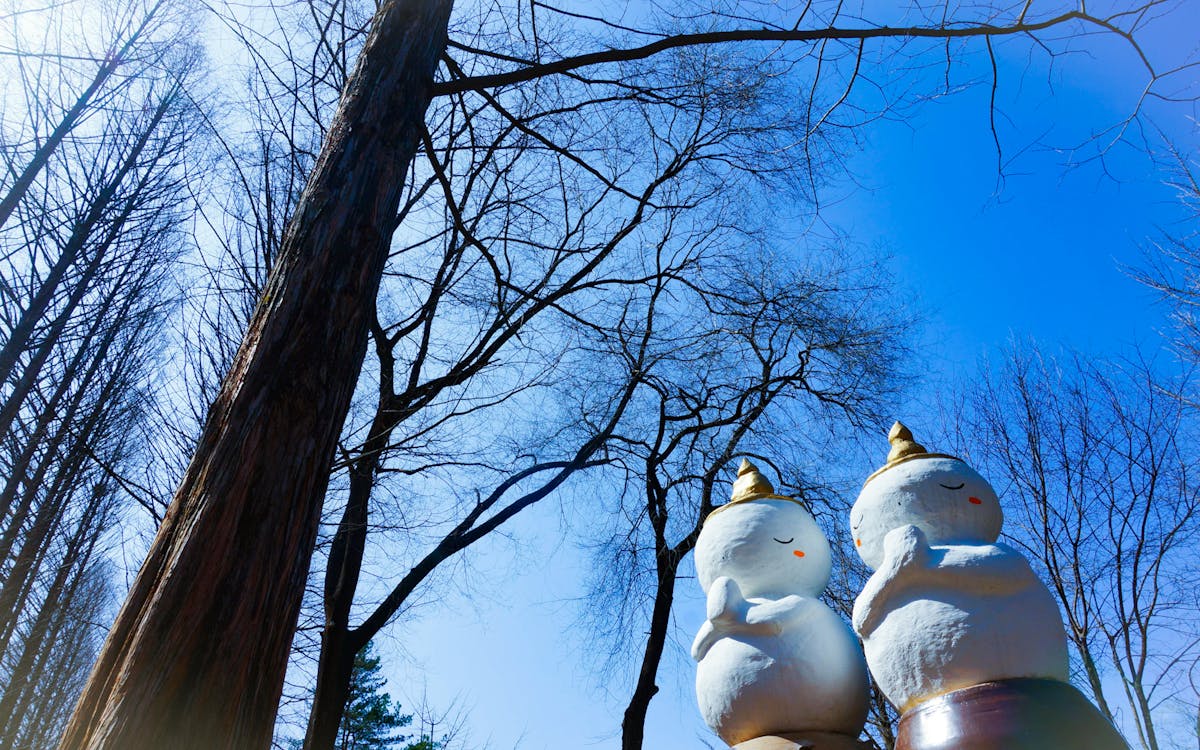 nami island, petite france, garden of morning calm, & gangchon rail bike day trip from seoul-11 nami island, petite france, garden of morning calm, & gangchon rail bike day trip from seoul-11