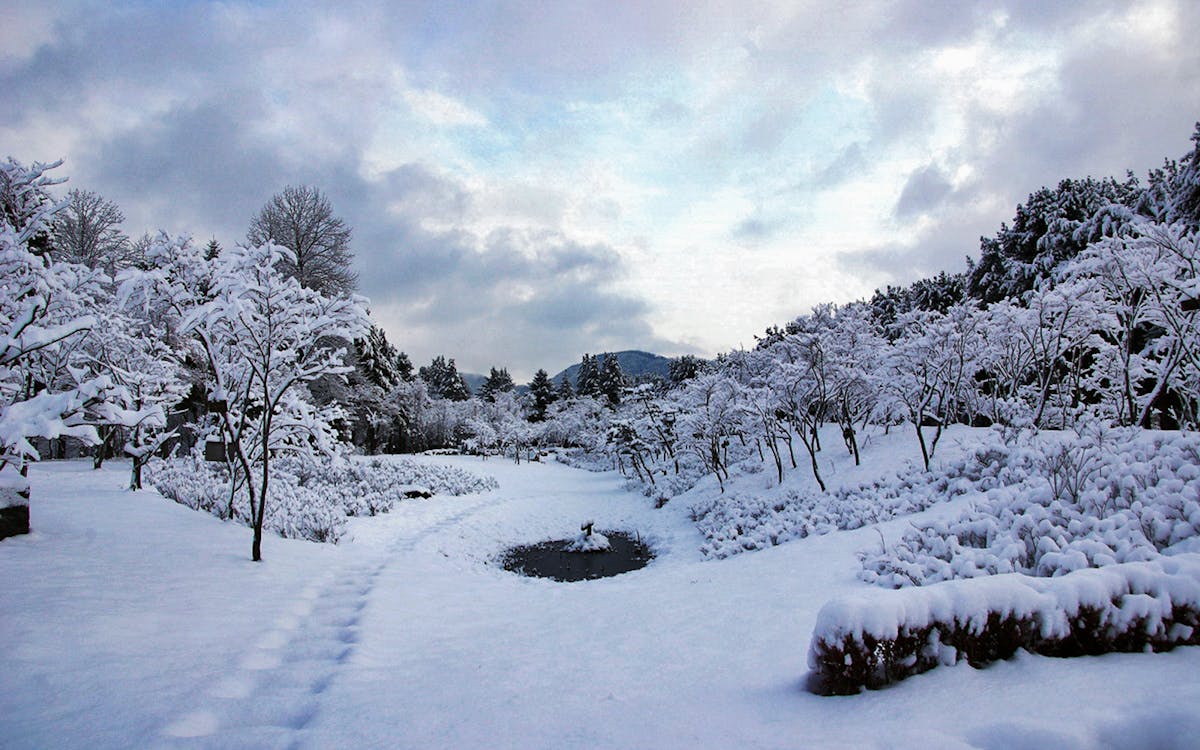 full day tour of nami island & the garden of morning calm from seoul-5 full day tour of nami island & the garden of morning calm from seoul-5