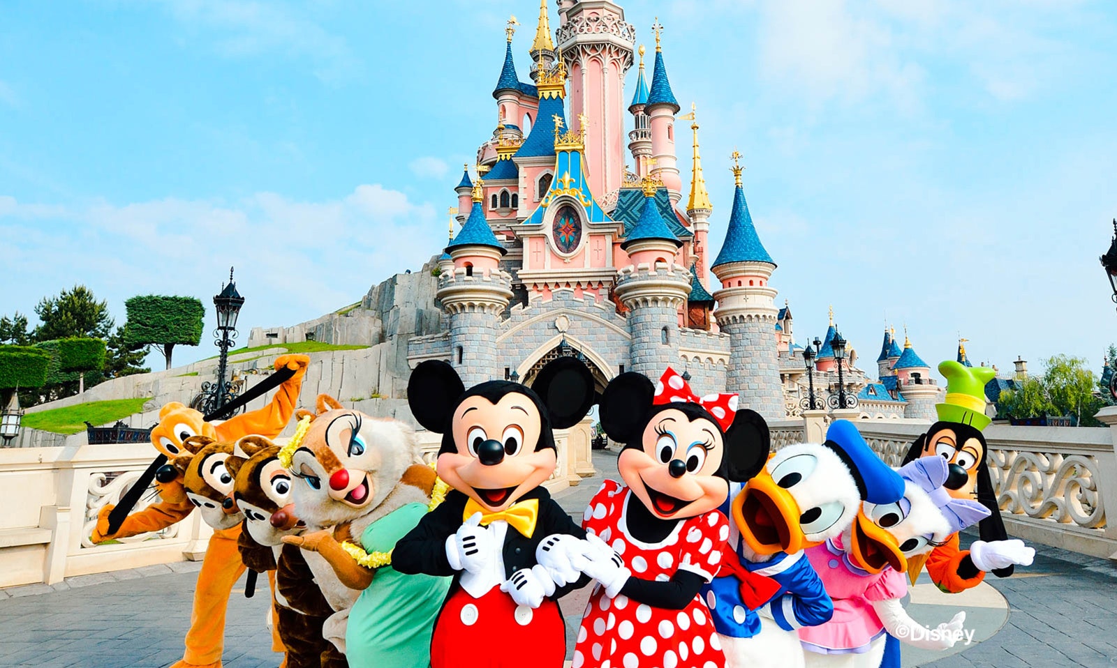 Doge's Palace Guided Tours