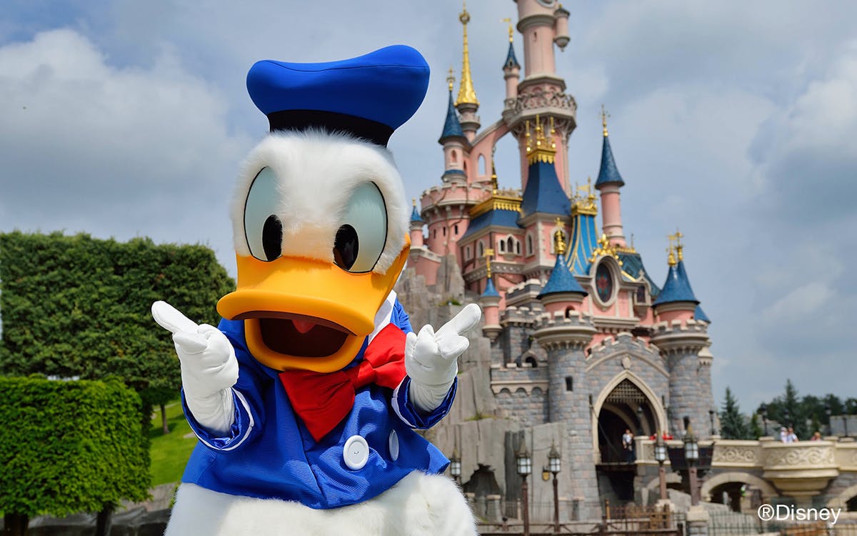 disneyland® paris 1 day flexible ticket-7 disneyland® paris 1 day flexible ticket-7