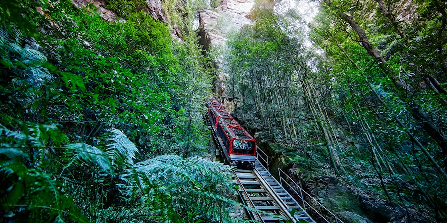 Sydney in November - Blue Mountains