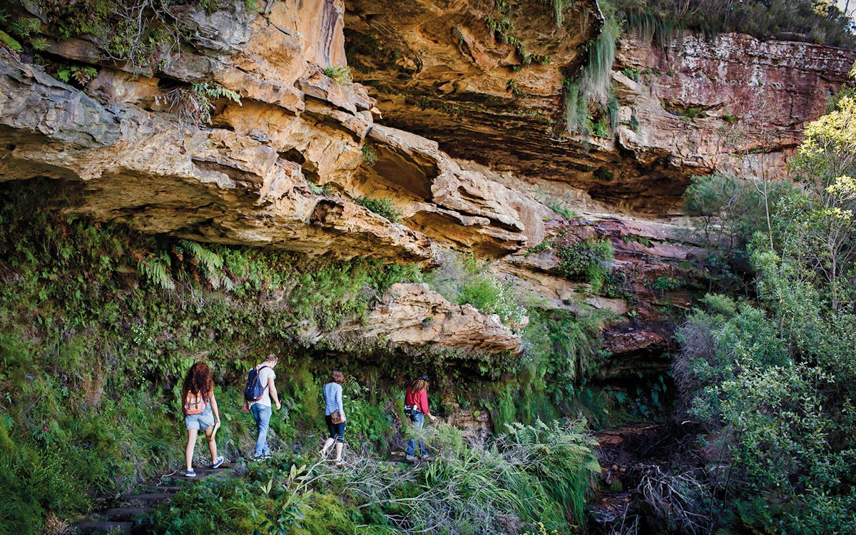 blue mountains day trip with featherdale wildlife transfers with optional lunch and river cruise-4 blue mountains day trip with featherdale wildlife transfers with optional lunch and river cruise-4