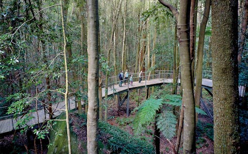 all-inclusive small-group blue mountains tour with scenic world, lunch, wildlife park & river cruise-1