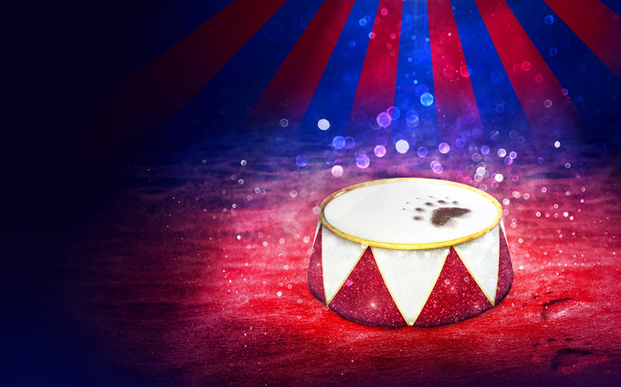 Bear paw print on a drum in a colorful, sparkling setting.