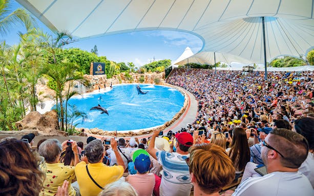 Dolphins performing at Loro Park with a large audience in the amphitheater.
