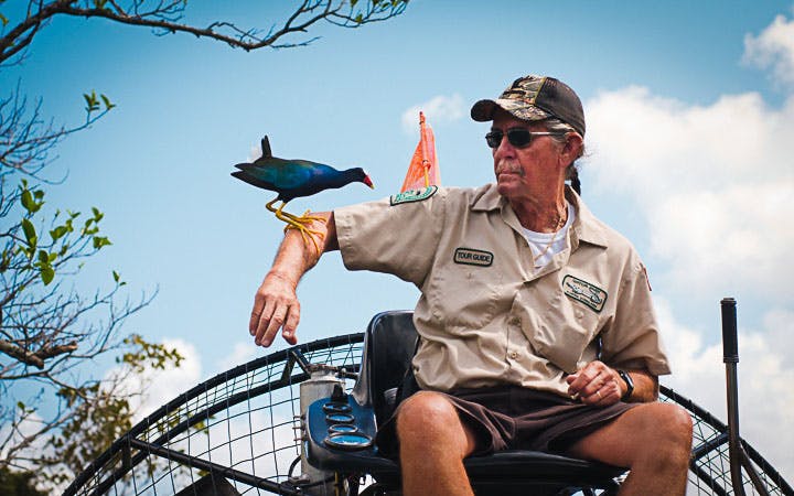 Tour guide on airboat with bird perched on arm during Florida Everglades gator tour.