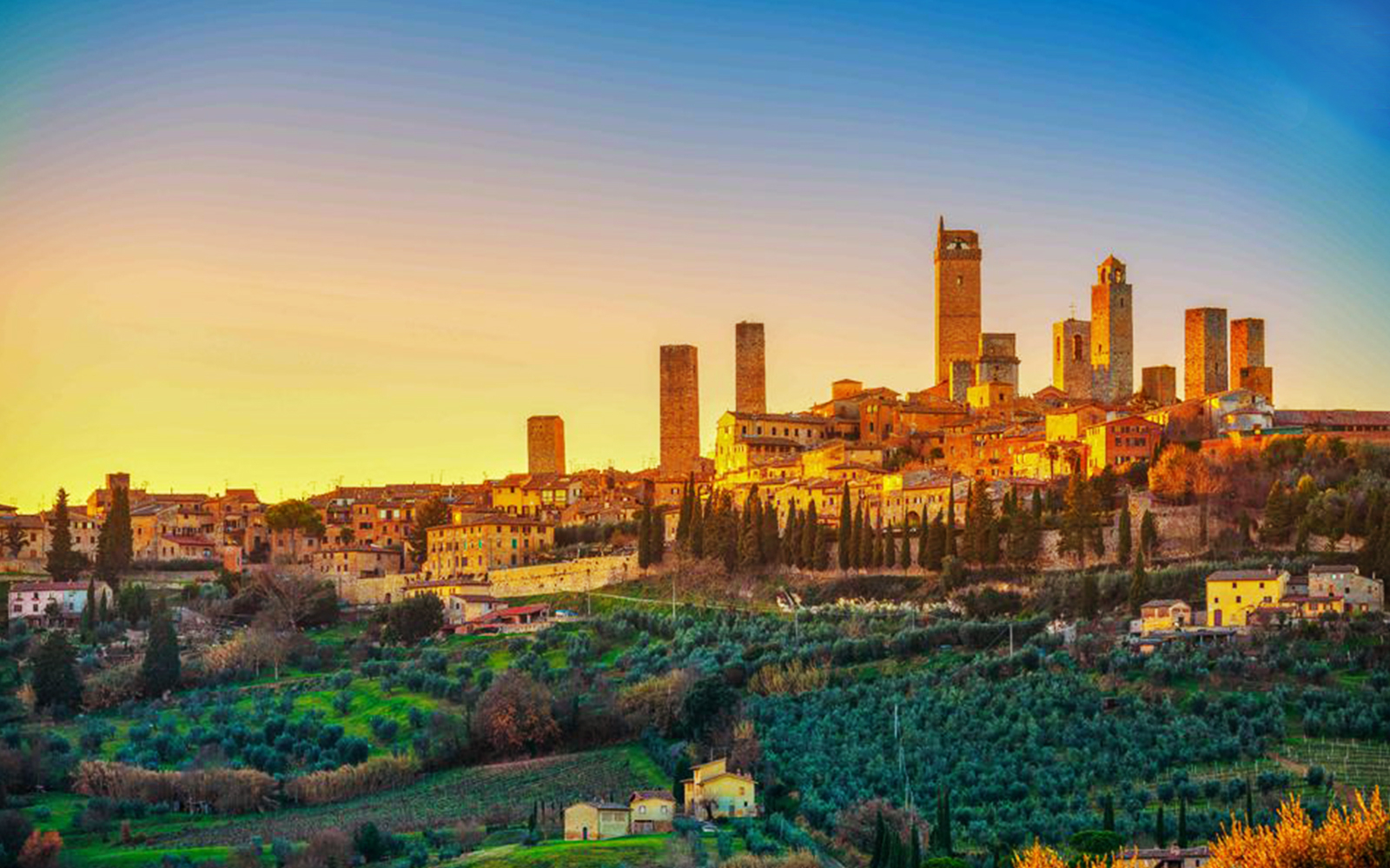 Go on a Magnificent Florence to Chianti Wine Tour