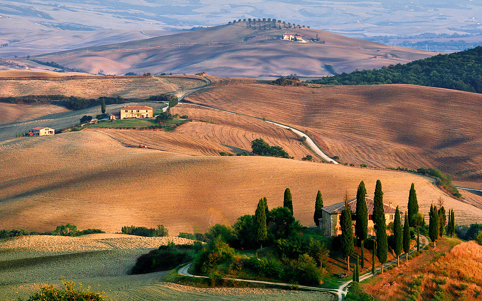 Rolling hills and vineyards in Tuscany, Italy, seen on a wine tour from Florence.