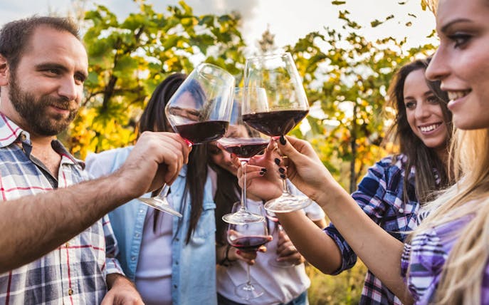 Group toasting with red wine in a Tuscan vineyard during a tour from Florence.