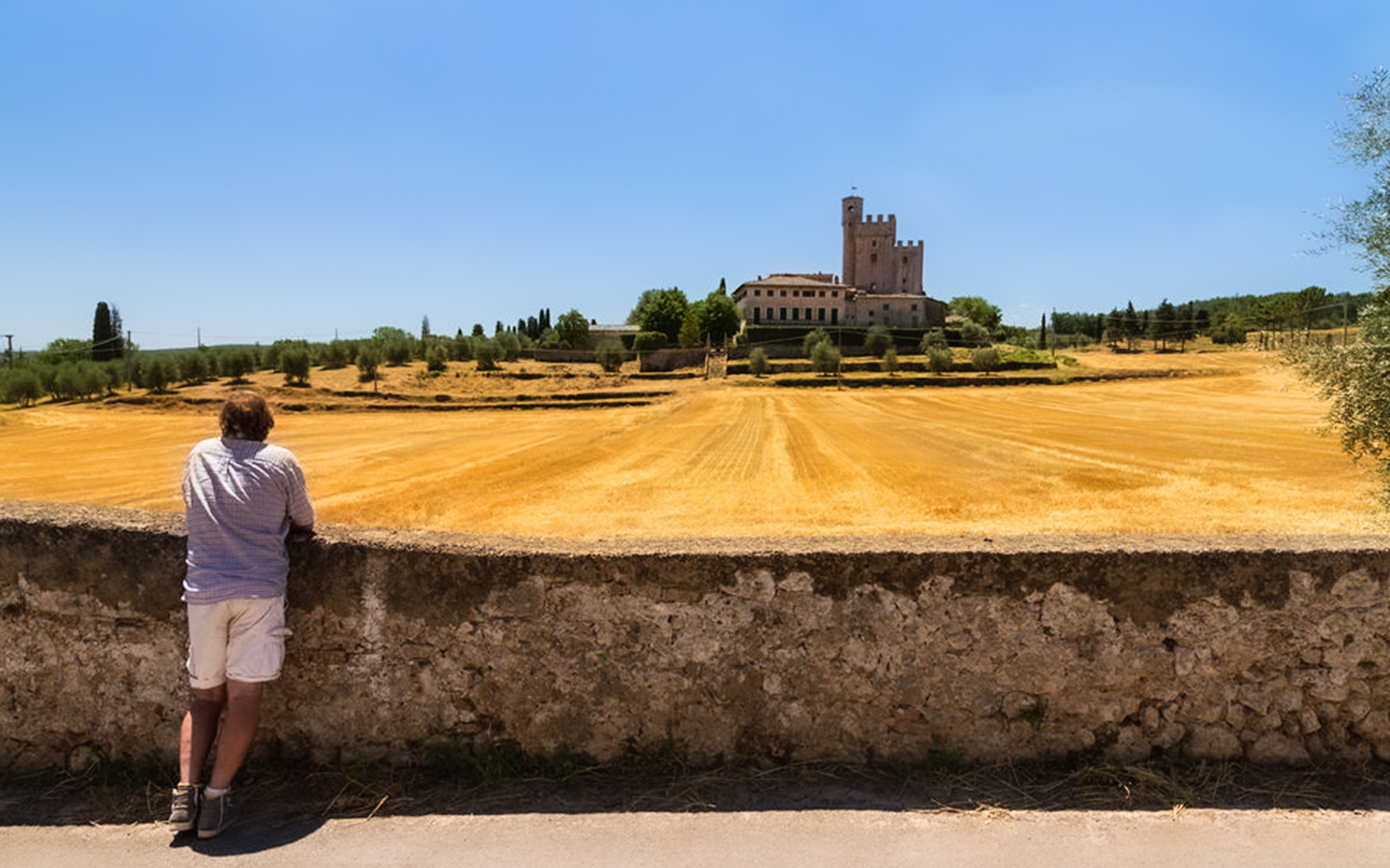Man overlooking Tuscan countryside with a historic castle in the distance.