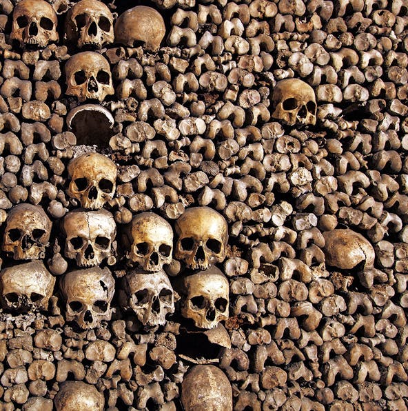 ParisCityVision Tours | All you need to know